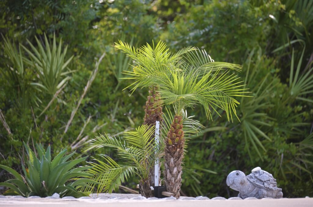 young-fresh-coconut-palm-trees-with-bright-green-l-2024-12-07-02-57-24-utc-min